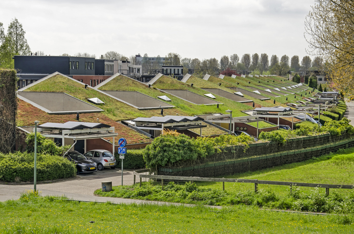 Groene daken in Nederland in kaart gebracht — hoe Readar 11 miljoen daken analyseerde